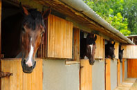 free Llandwrog stable construction quotes